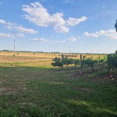 Ca' Elena Holiday home Codigoro